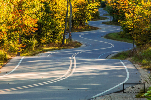 WIndy Road in Door County